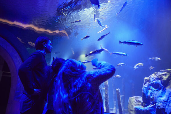 Baltic Sea Sience center