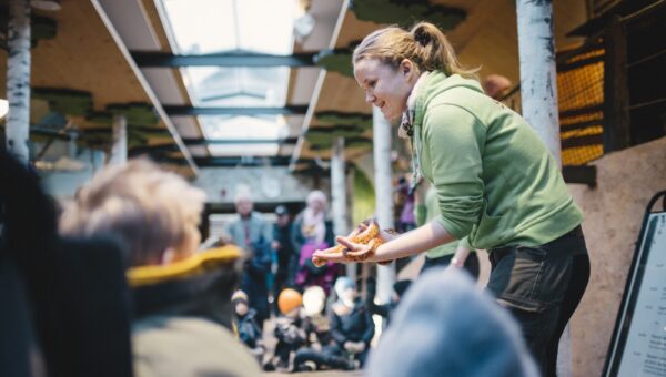 Djurprat Lill-Skansen, Foto: Anna Hugusson