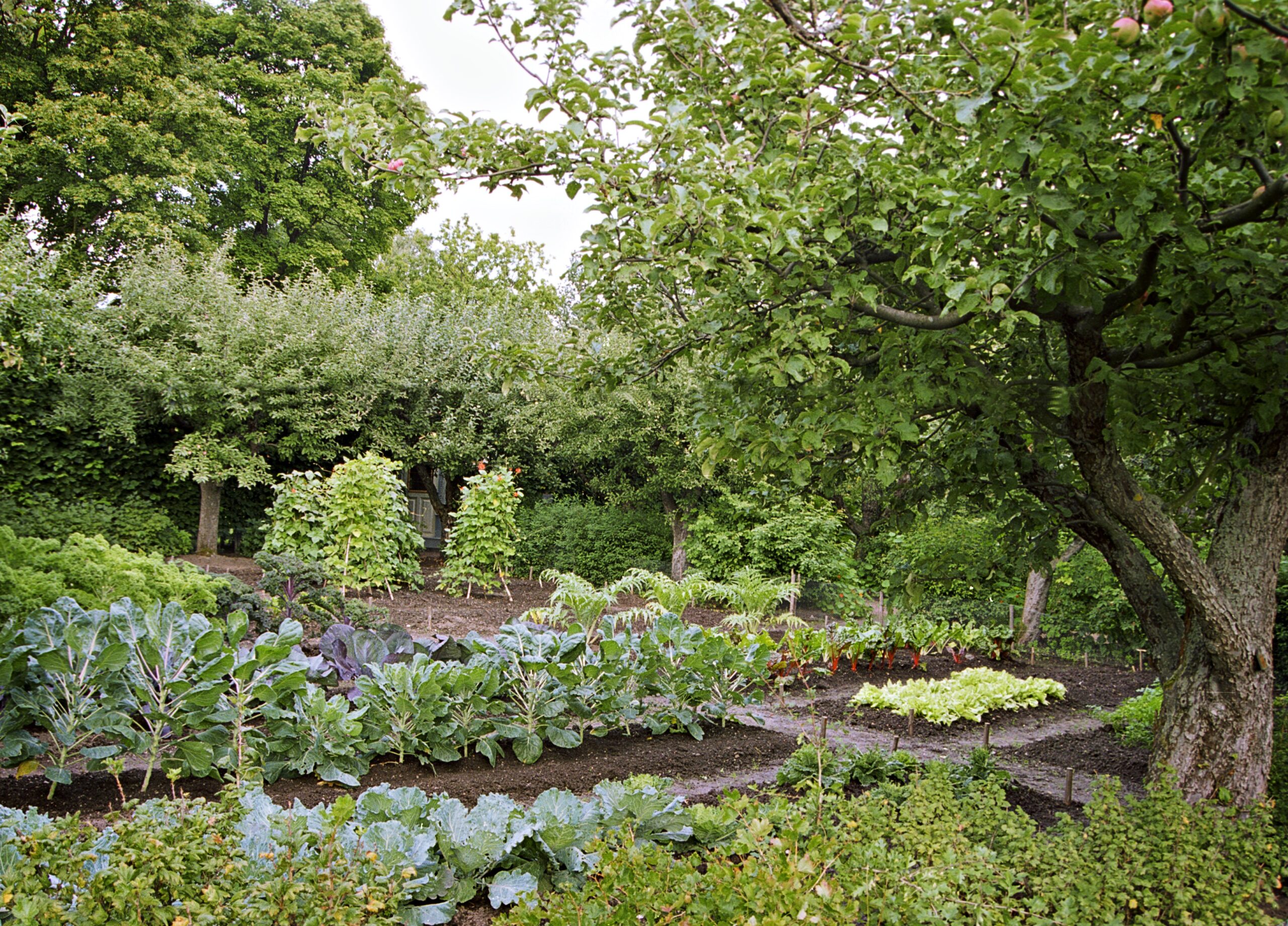 Skogaholms köksträdgård Foto: Marie Andersson