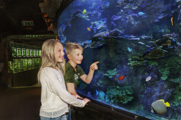 Skansen-Akvariet Foto: Pernille Tofte