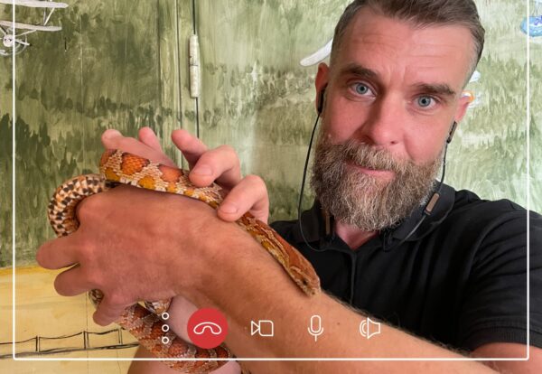 Digitalvisning på skansen Foto. Emelie Strömfors