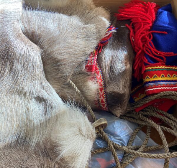 Samiska lådan på Skansen Foto: Annika Jonsson