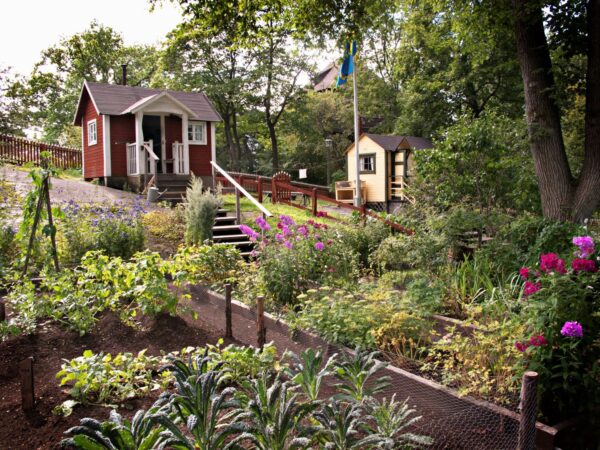 Kolonistugorna på Skansen. Foto: Marie Andersson