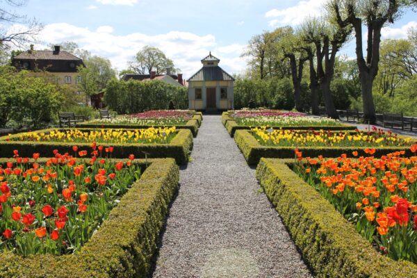 Rosengården på Skansen Foto: Emelie Strömfors