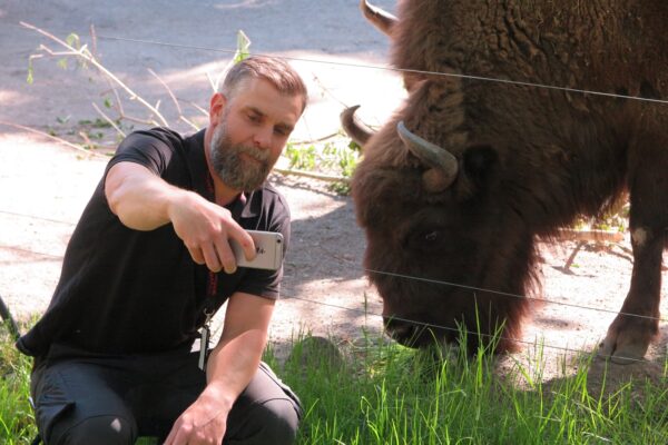 Digital visning på Skansen Foto: Emelie Strömfors