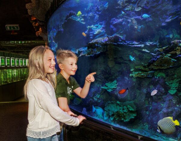 Skansen-akvariet, Skansen Foto: Pernille Tofte