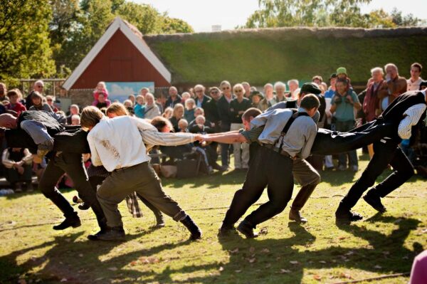 Dragkamp under Höstmarknaden på Skansen