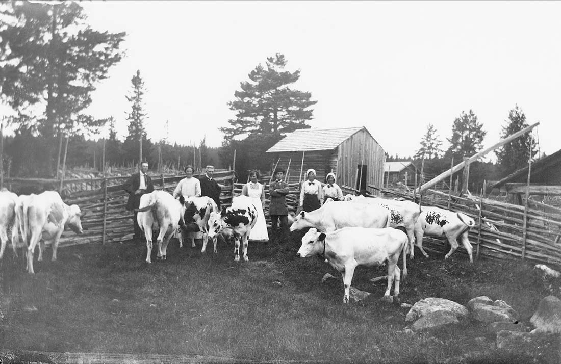 Bolbergets summer pasture farm, photo George Renström/Nordiska museet