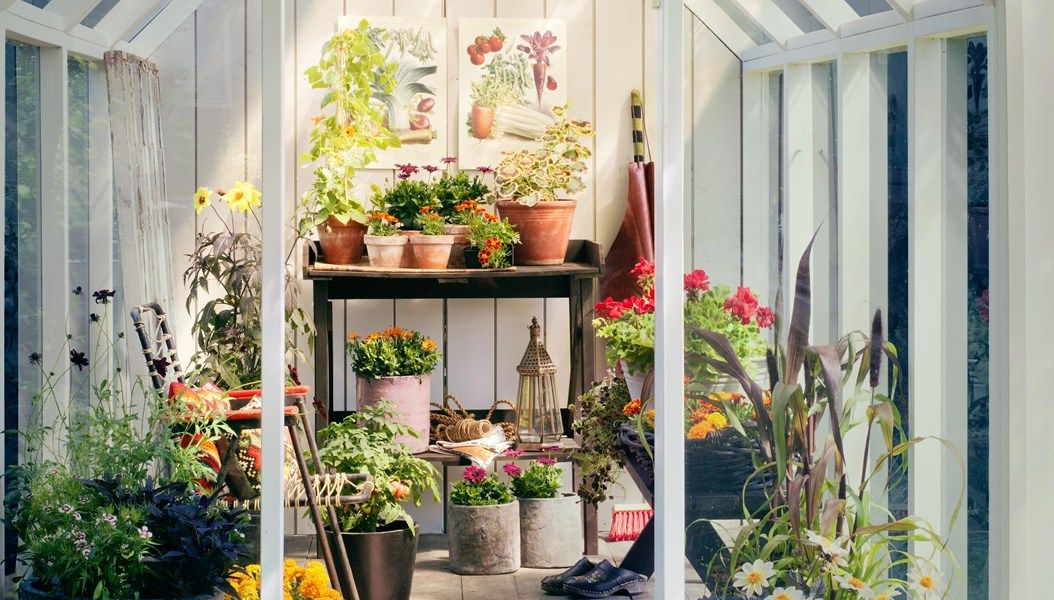 Växthus på Skansen 1990-tal