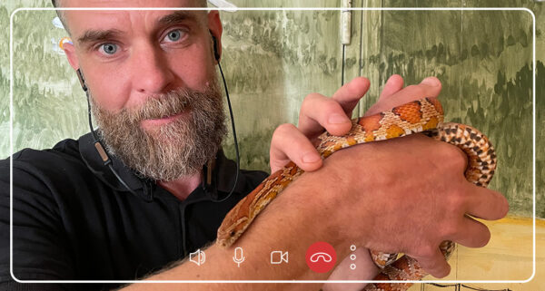 Digital lektion med djur