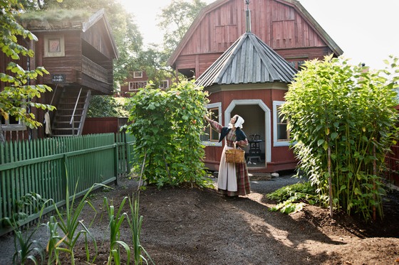 Boktryckargardenwebbpuff