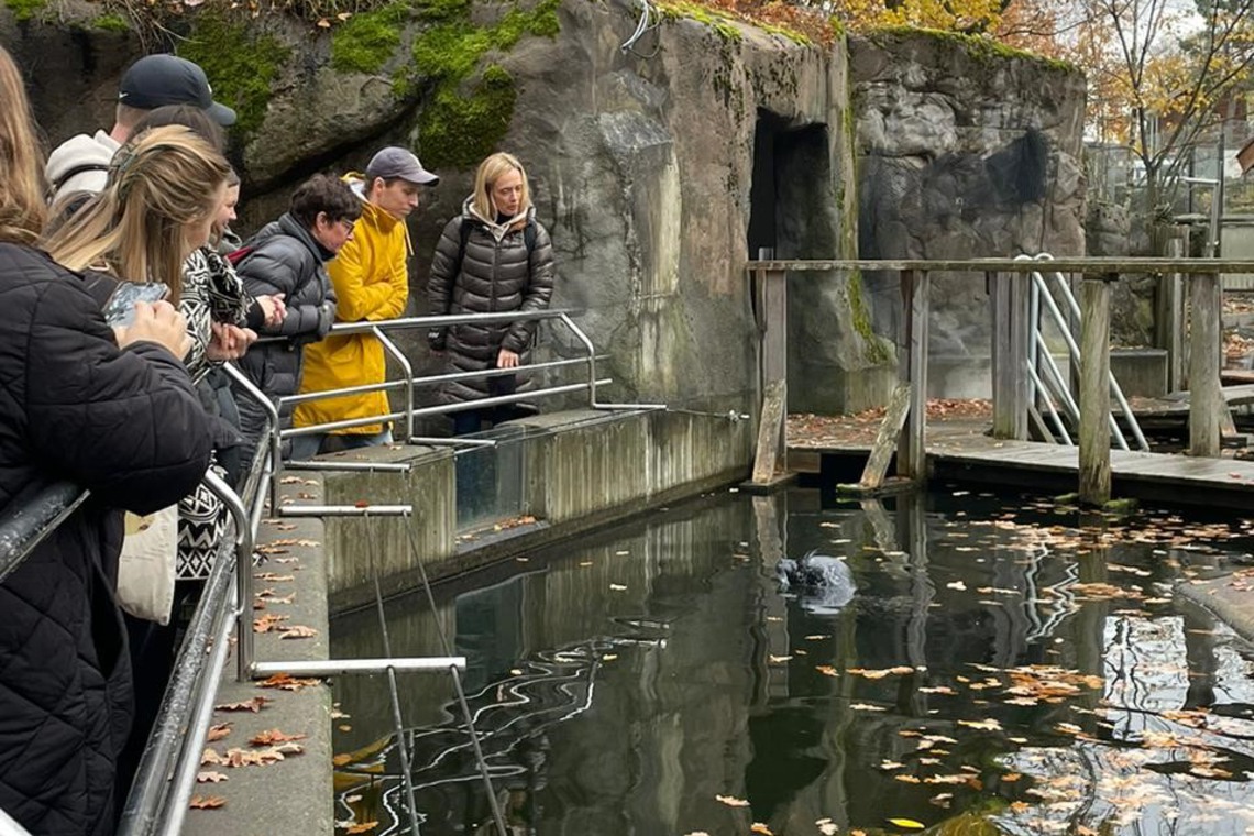 Min Stora Dag besöker Skansen