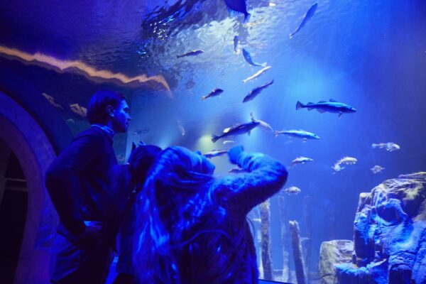 Baltic Sea Science Center på Skansen