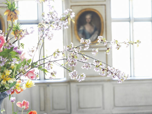 Vackra vårblommor i Skogaholms Herrgård