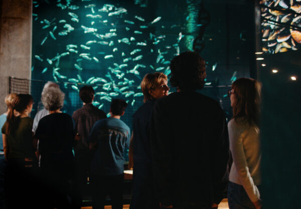 Visning på Baltic Sea Science Center