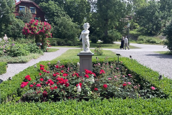 The Rose Garden