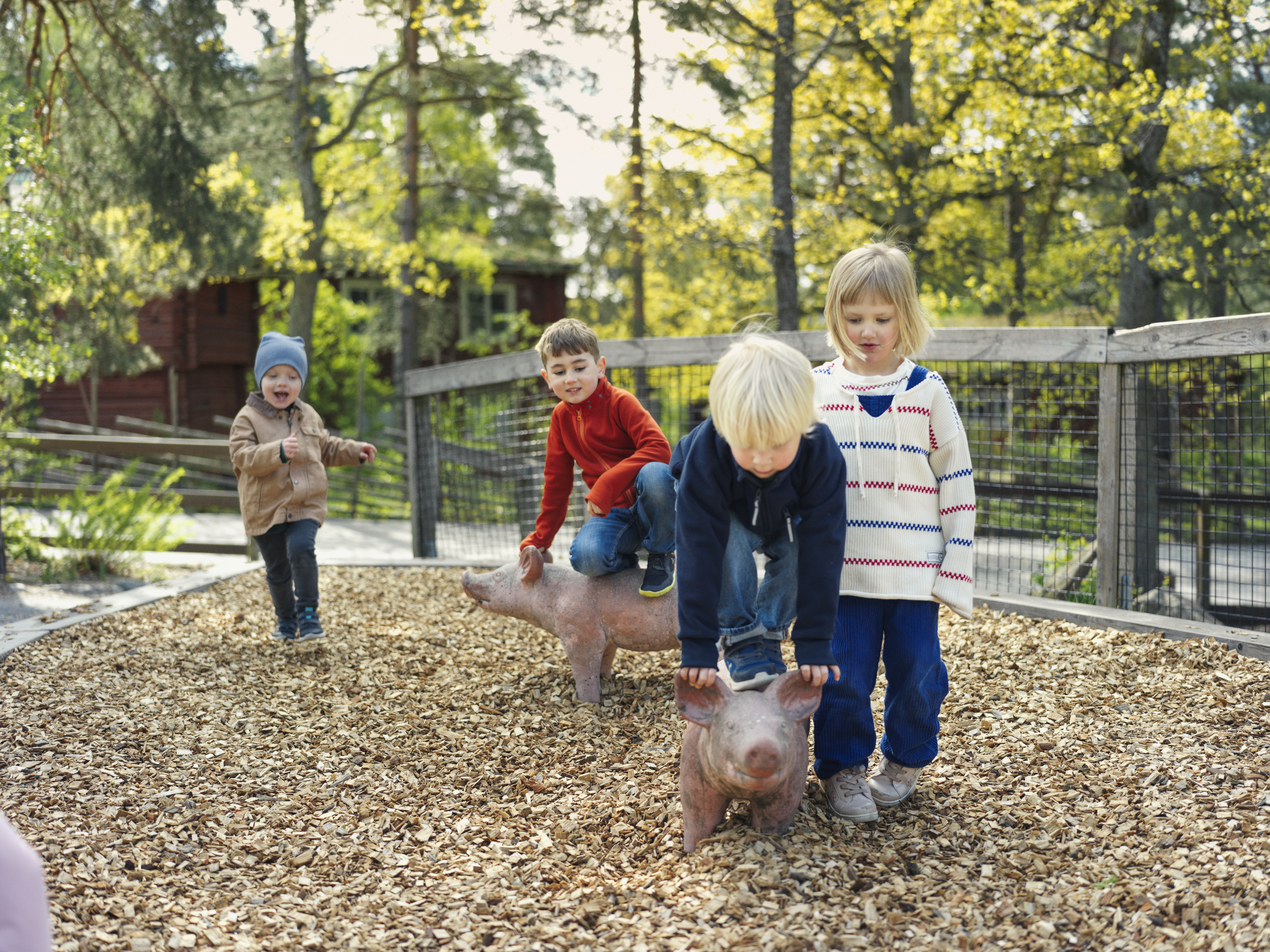Bern leker på Skansen