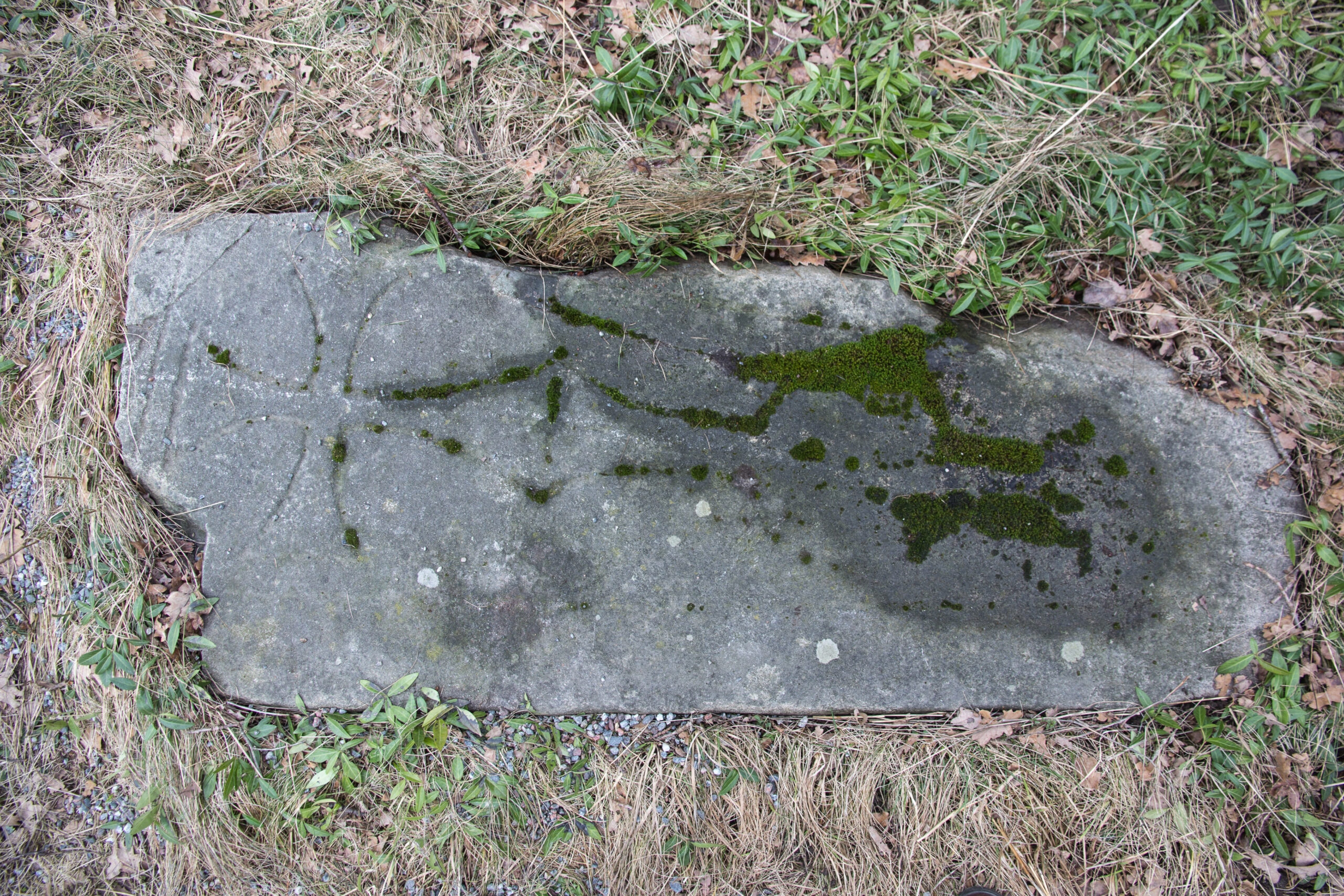 Gravsten på Skansen. Foto: Tomas Wiedersheim-Paul, Skansen (CC-BY)