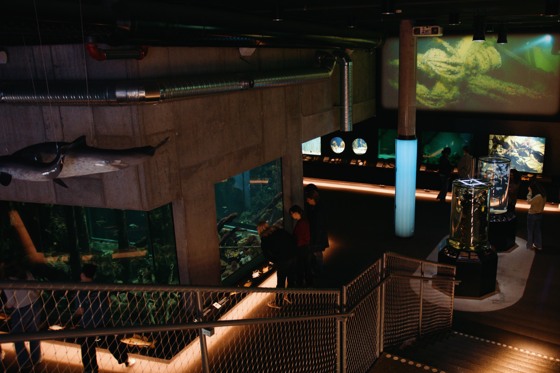 Akvariehallen inne på Baltic Sea Science Center